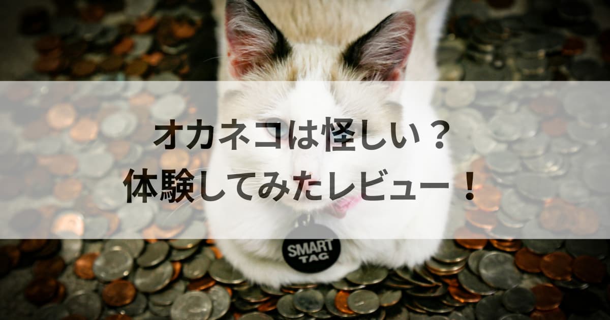 オカネコは怪しい？体験してみたレビュー！