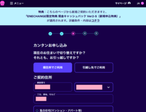 オクトパスエナジー申し込み画面(筆者撮影)